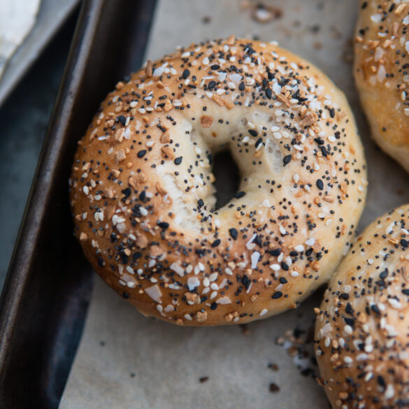 Boiled & Baked Everything Bagels - Feeding The Frasers